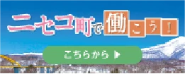 ニセコ町採用